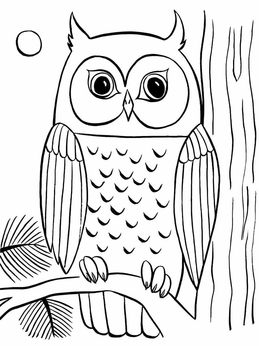 Owl coloring page (45)