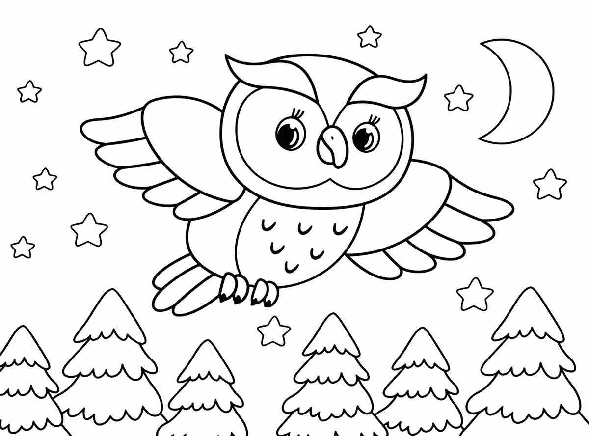 Owl coloring page (65)