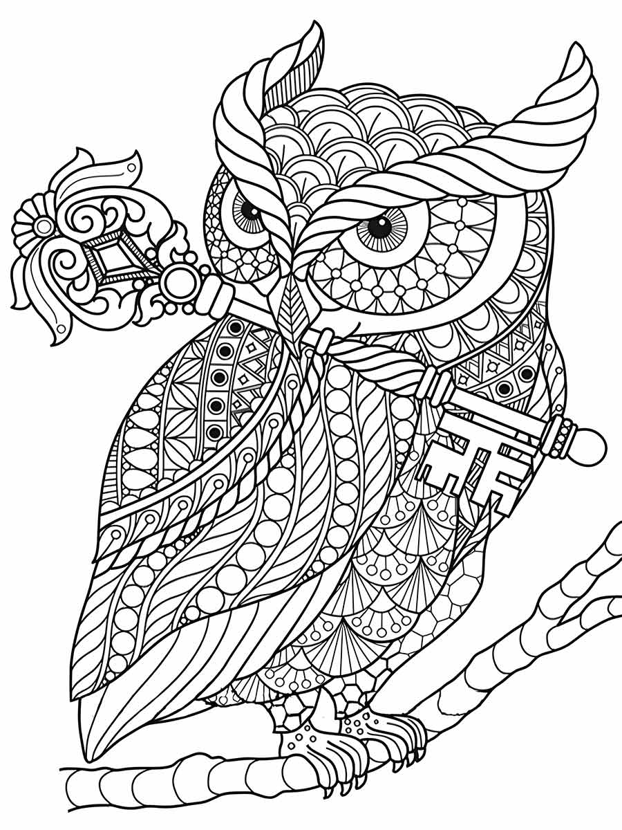 Owl coloring page (66)