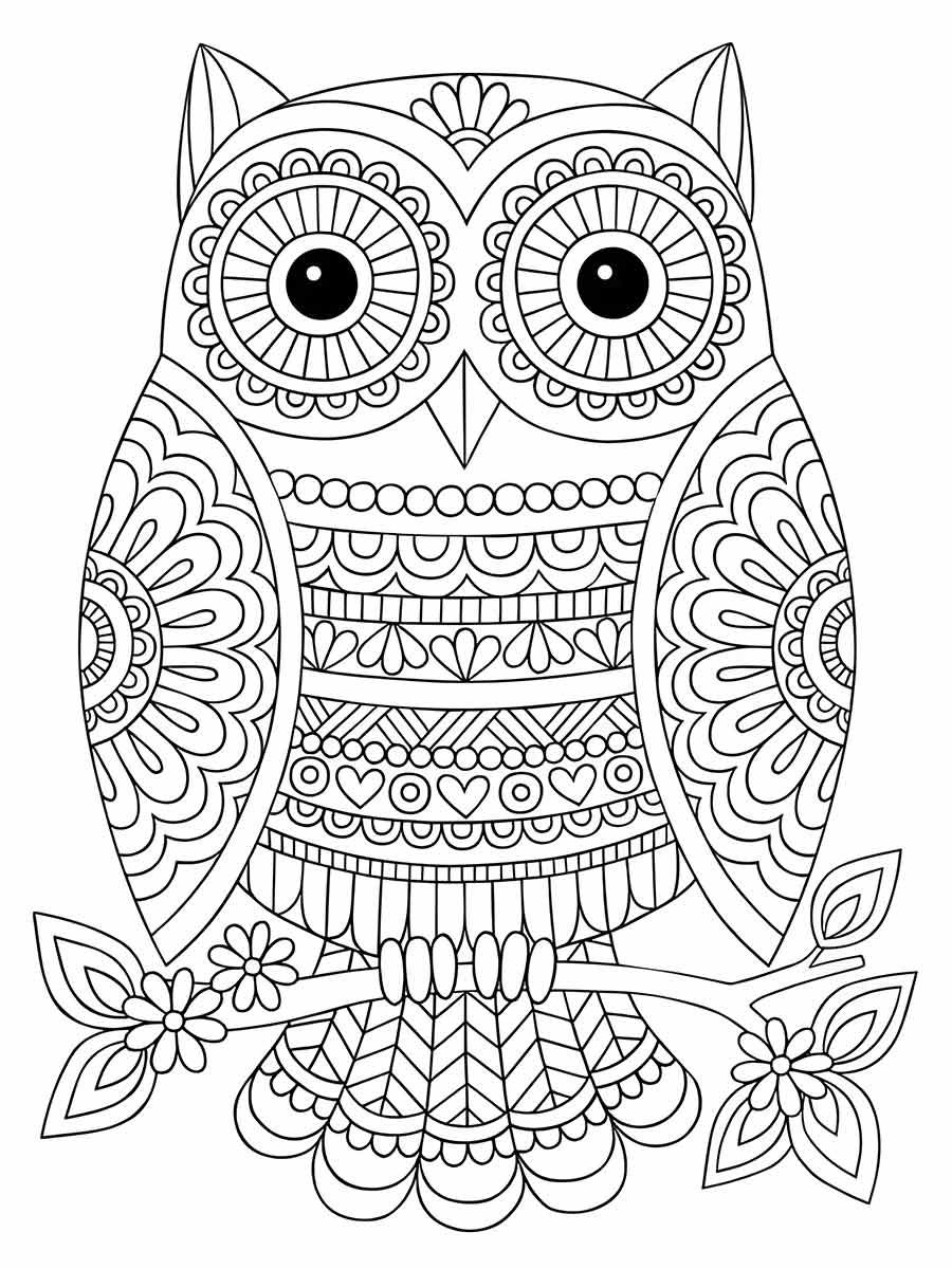 Owl coloring page (67)