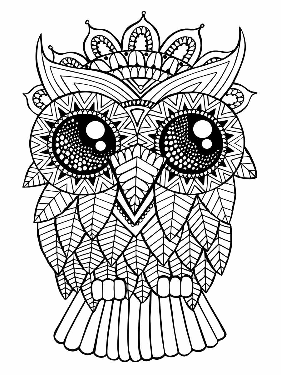 Owl coloring page (68)