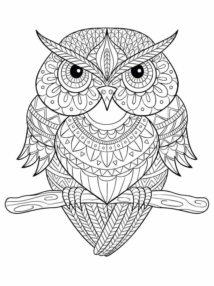 Owl coloring page (69)