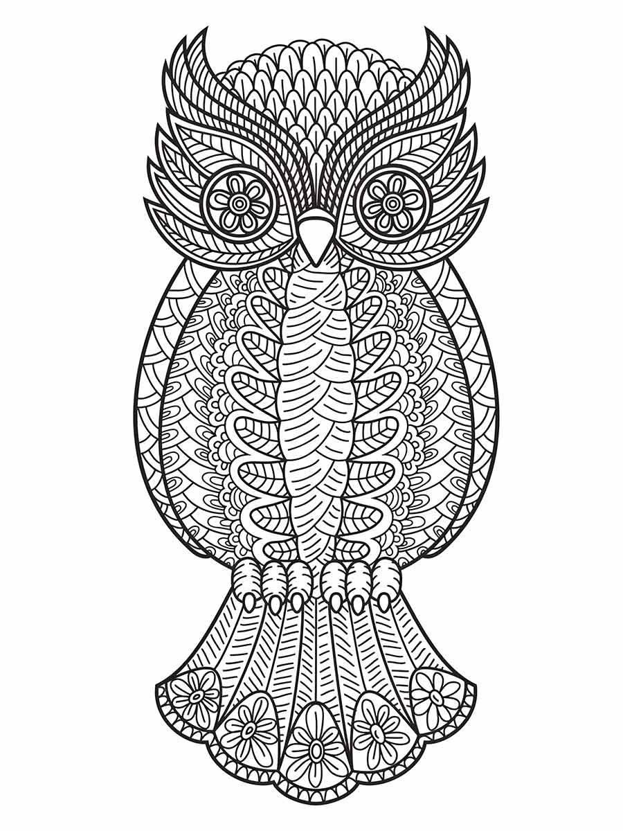 Owl coloring page (70)