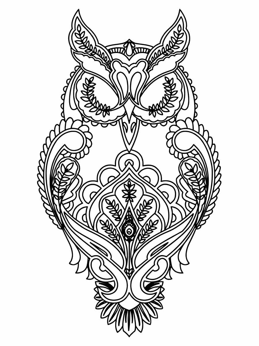 Owl coloring page (71)