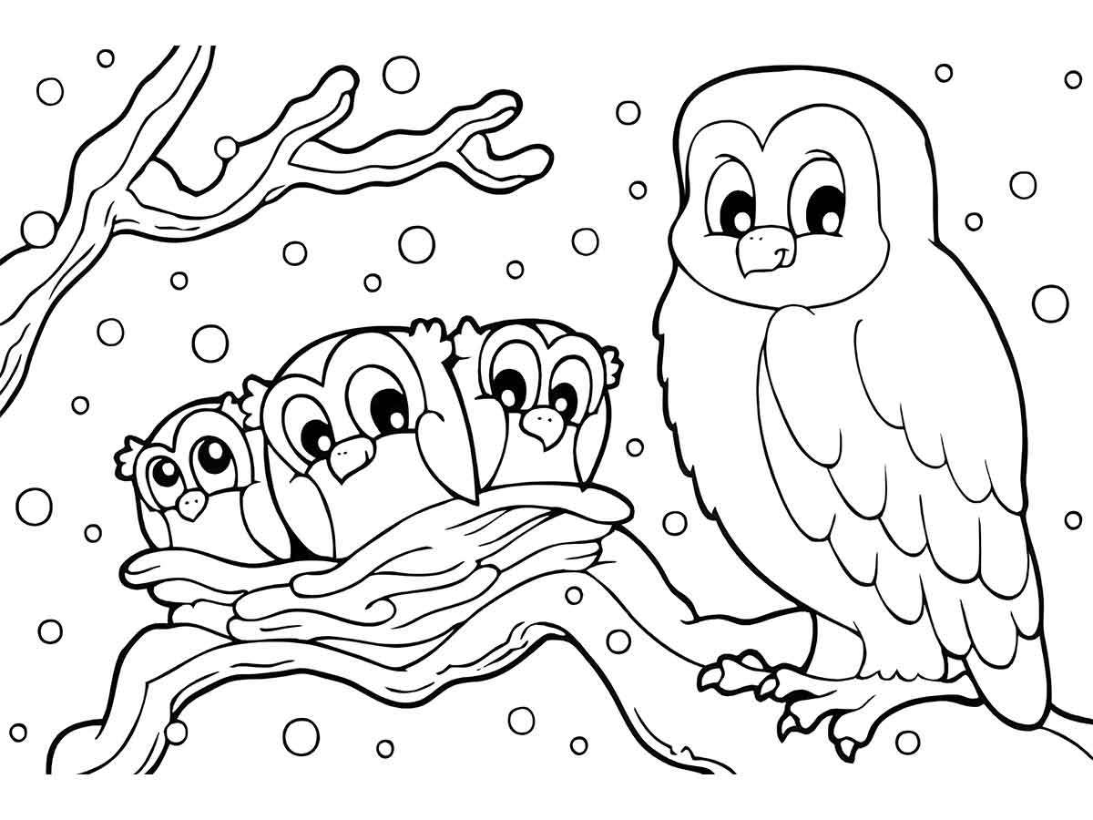 Owl coloring page (74)