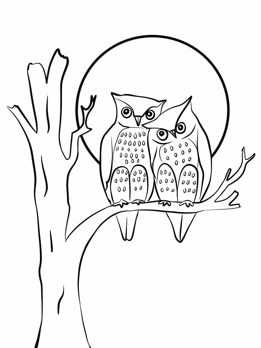 Owl coloring page (79)