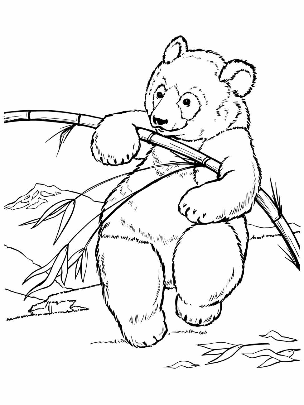 Panda coloring pages (11)