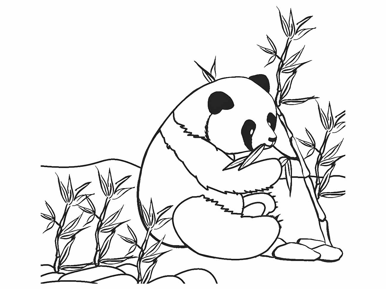 Panda coloring pages (12)