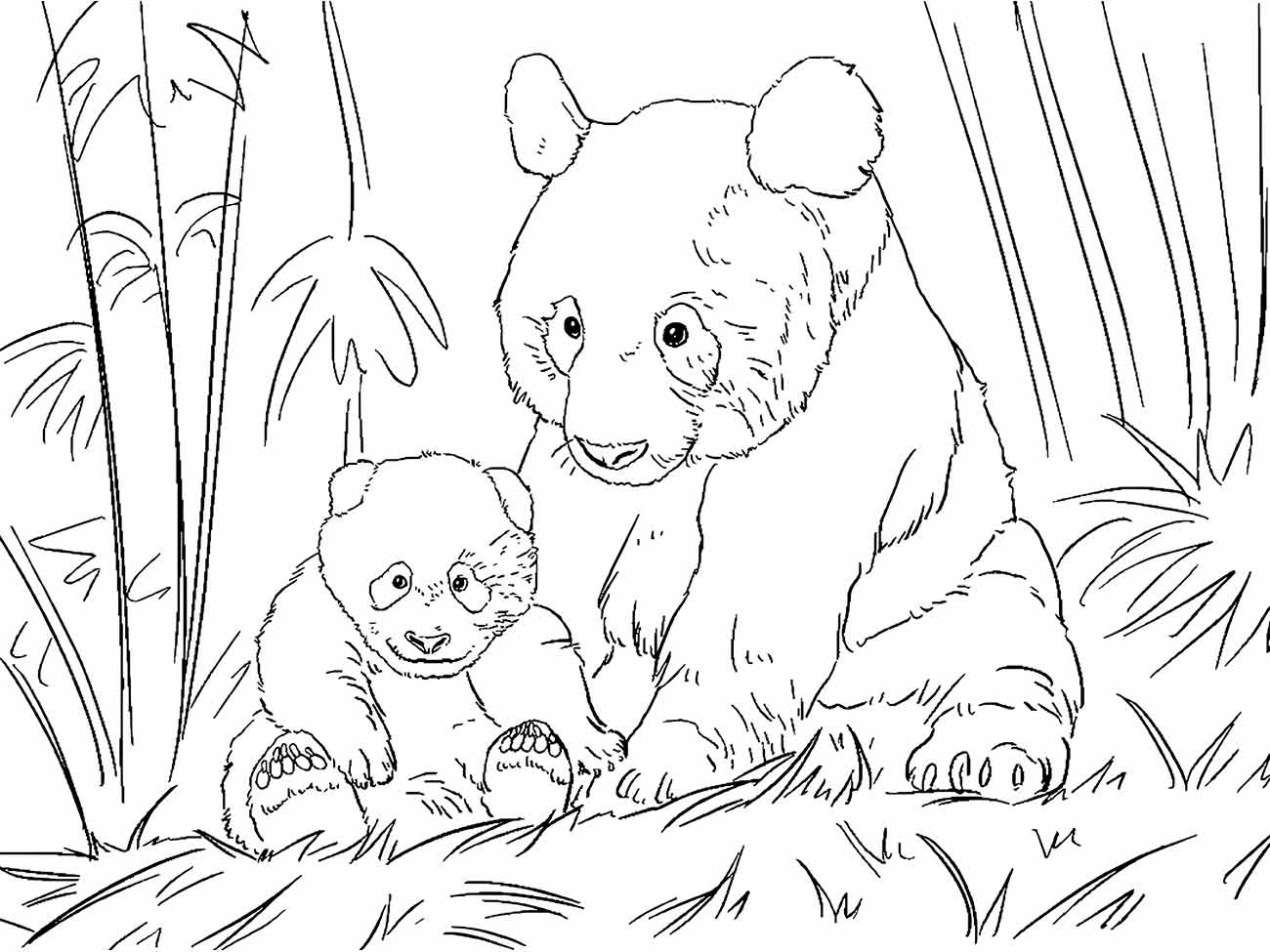 Panda coloring pages (20)