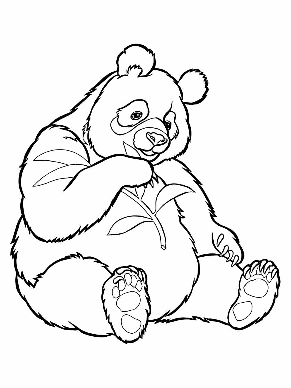 Panda coloring pages (21)