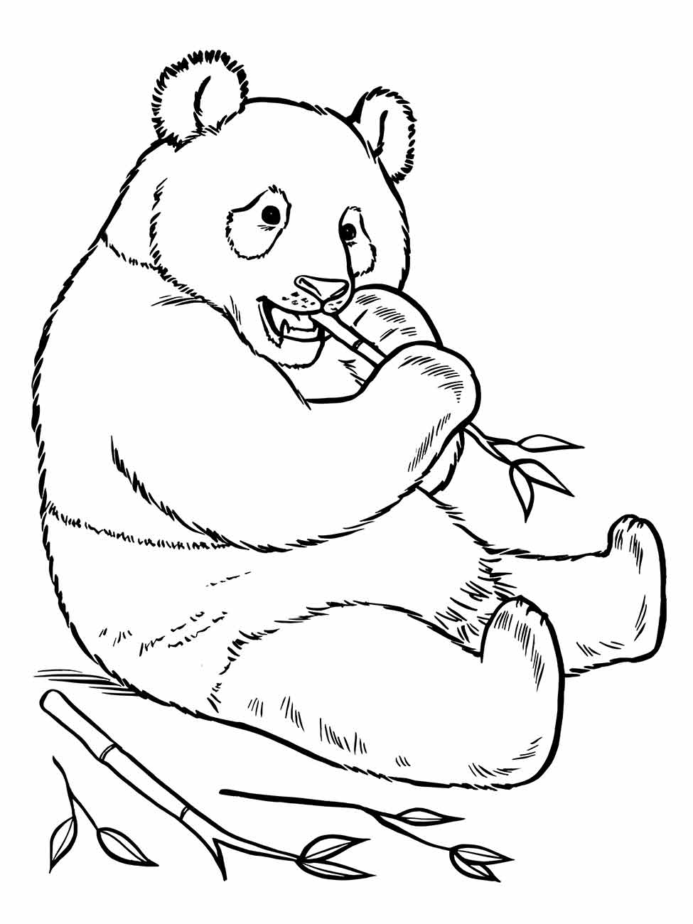 Panda coloring pages (30)