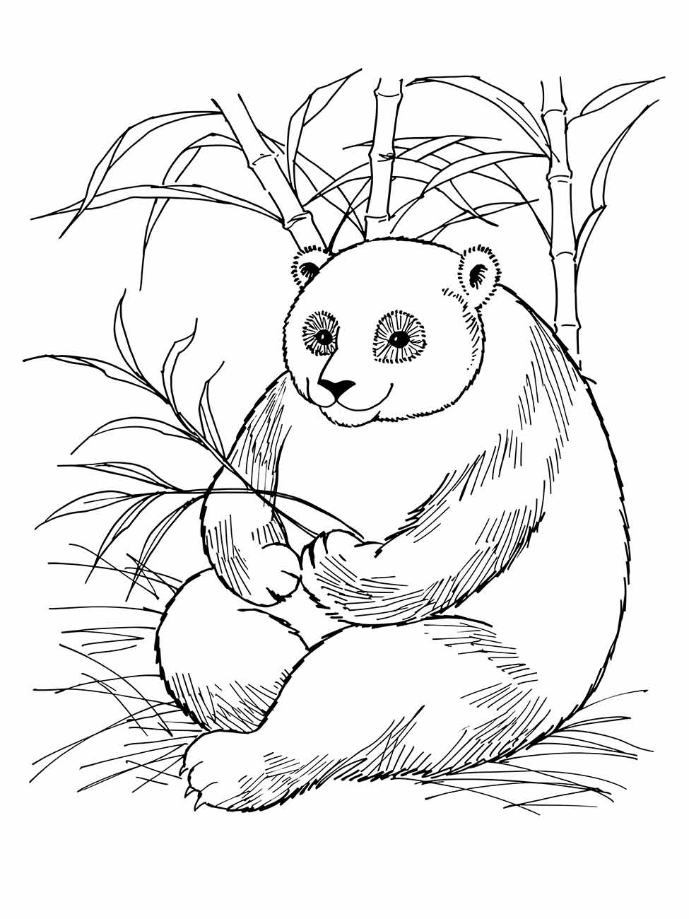 Panda coloring pages (7)