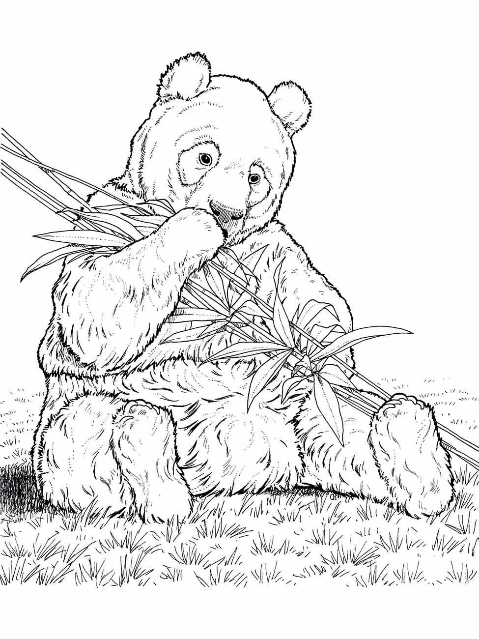 Panda coloring pages (8)