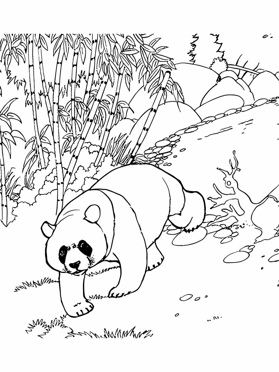 Panda coloring pages (9)