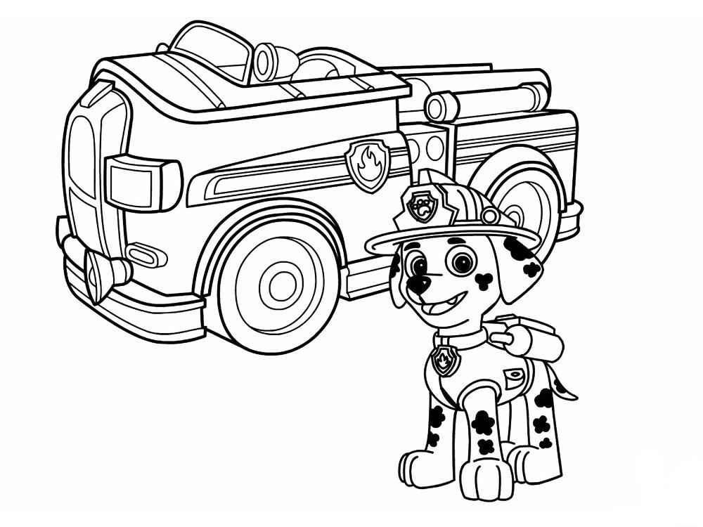 Paw Patrol coloring page (17)