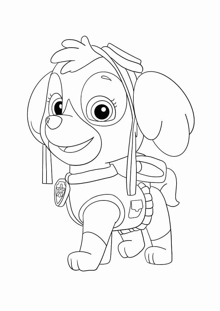 Paw Patrol coloring page (28)