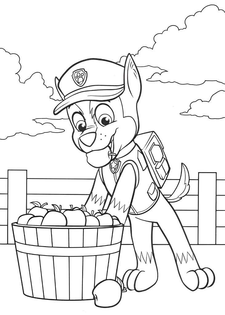 Paw Patrol coloring page (3)