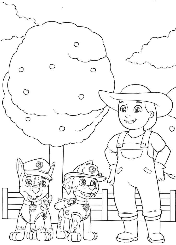 Paw Patrol coloring page (34)