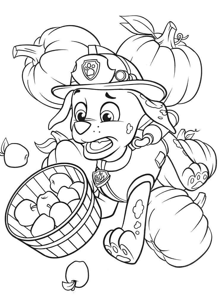 Paw Patrol coloring page (37)