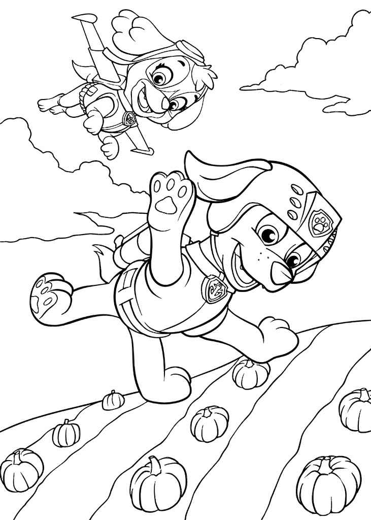 Paw Patrol coloring page (4)