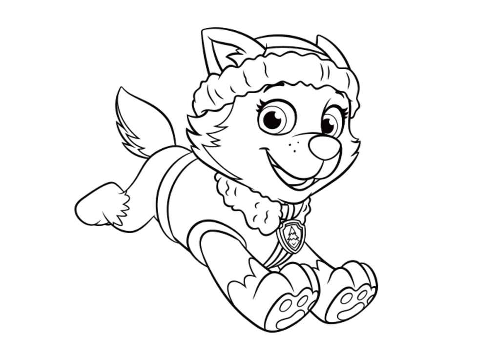 Paw Patrol coloring page (47)