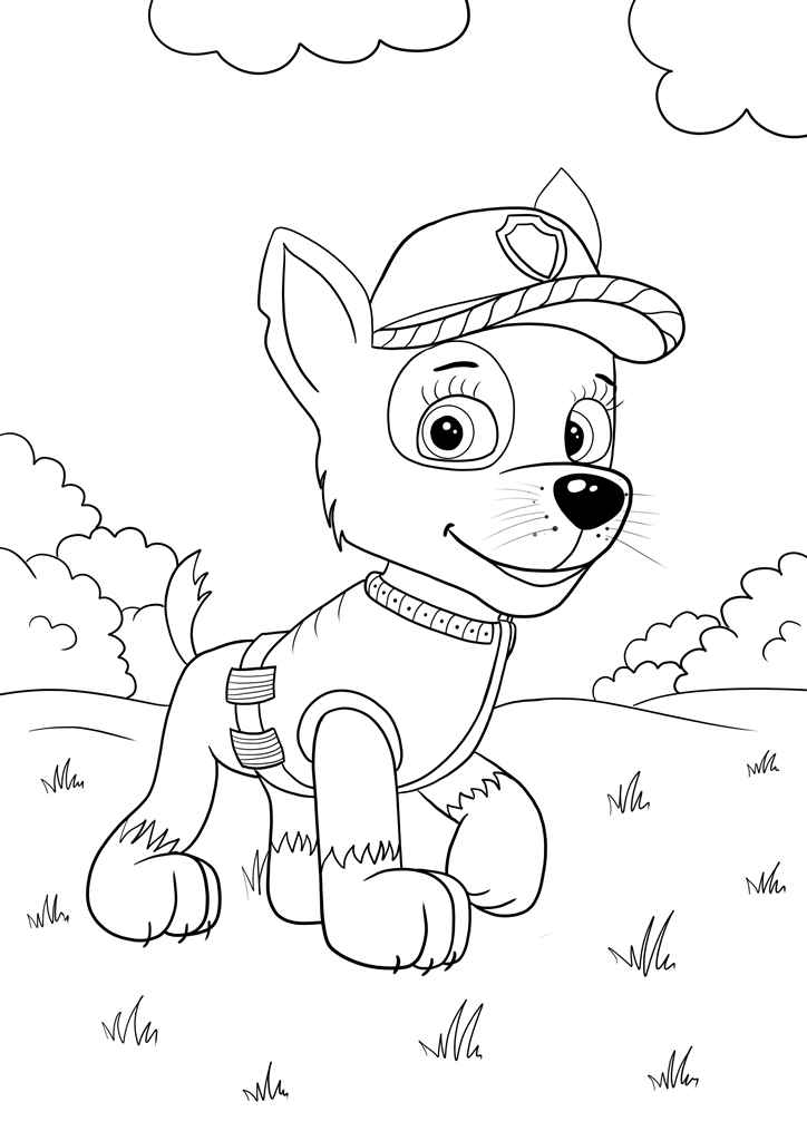 Paw Patrol coloring page (52)