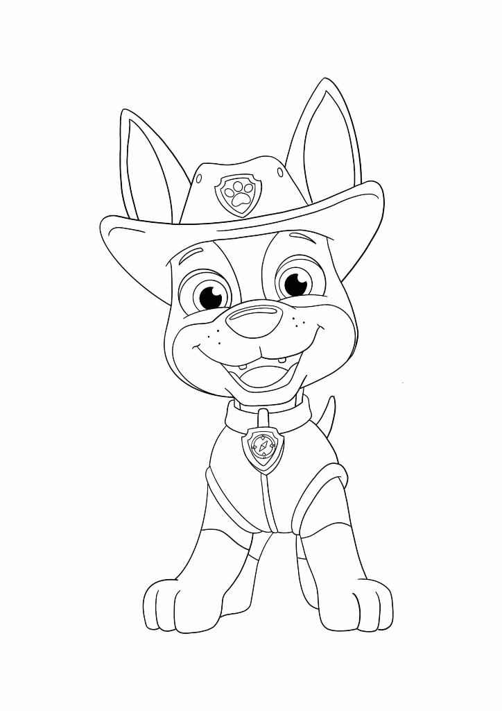 Paw Patrol coloring page (55)