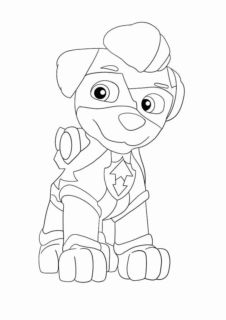 Paw Patrol coloring page (69)