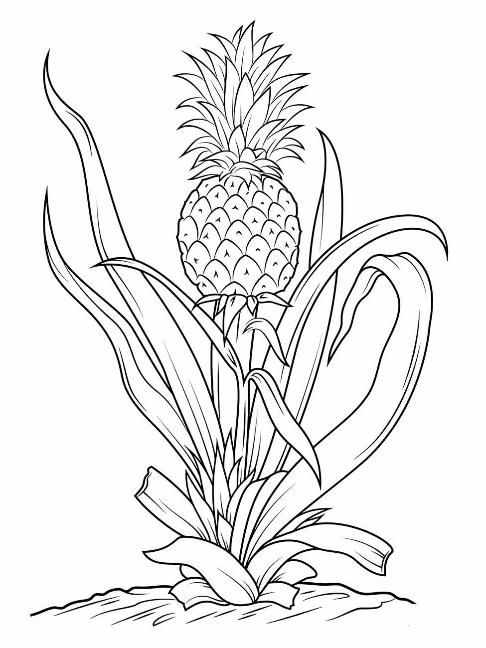 Pineapple coloring page (16)