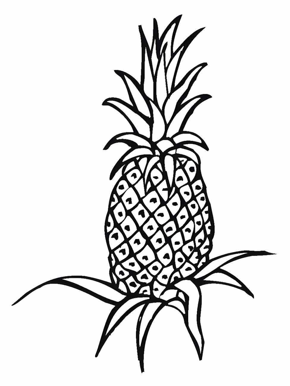 Pineapple coloring page (18)