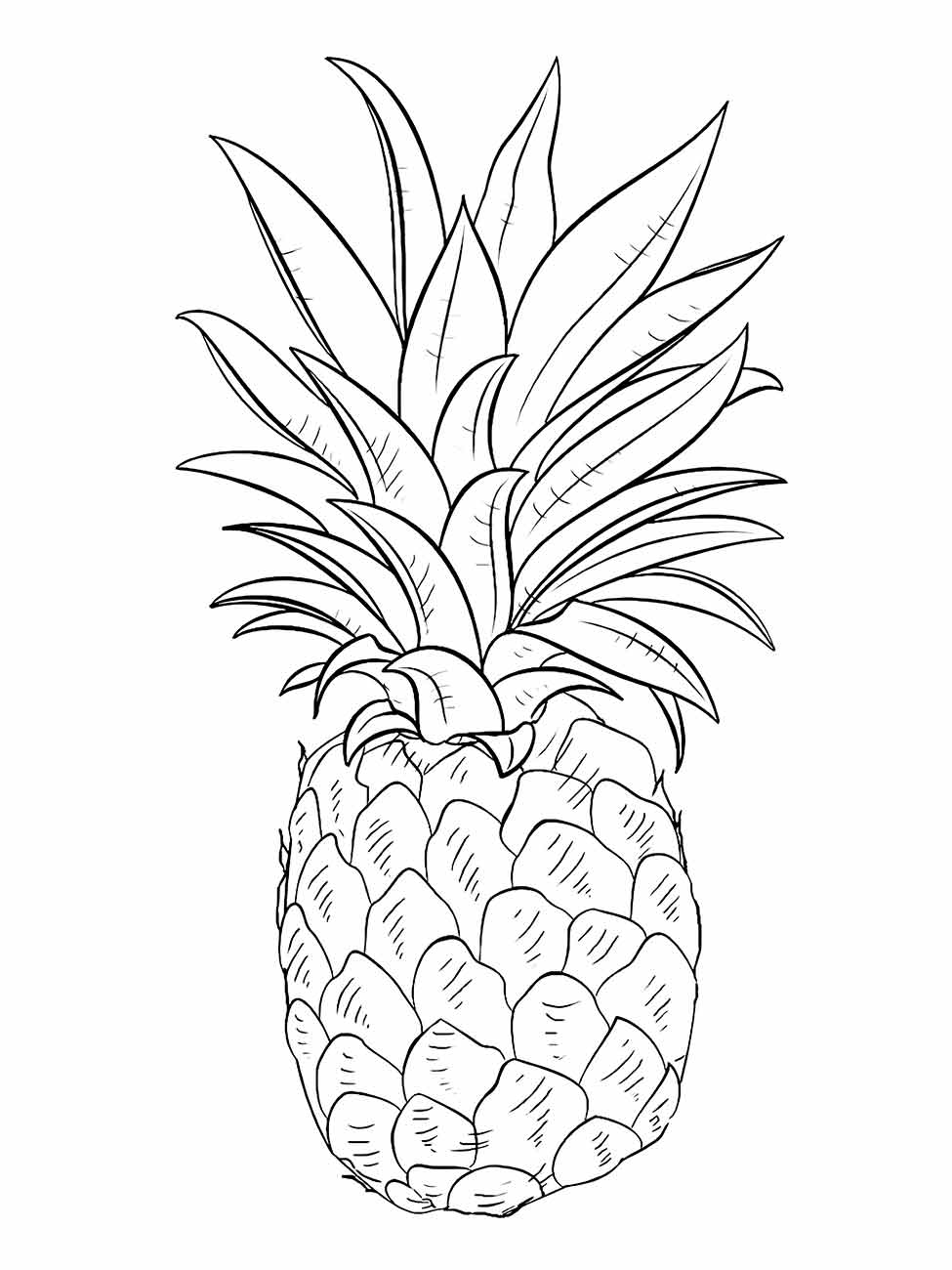 Pineapple coloring page (7)