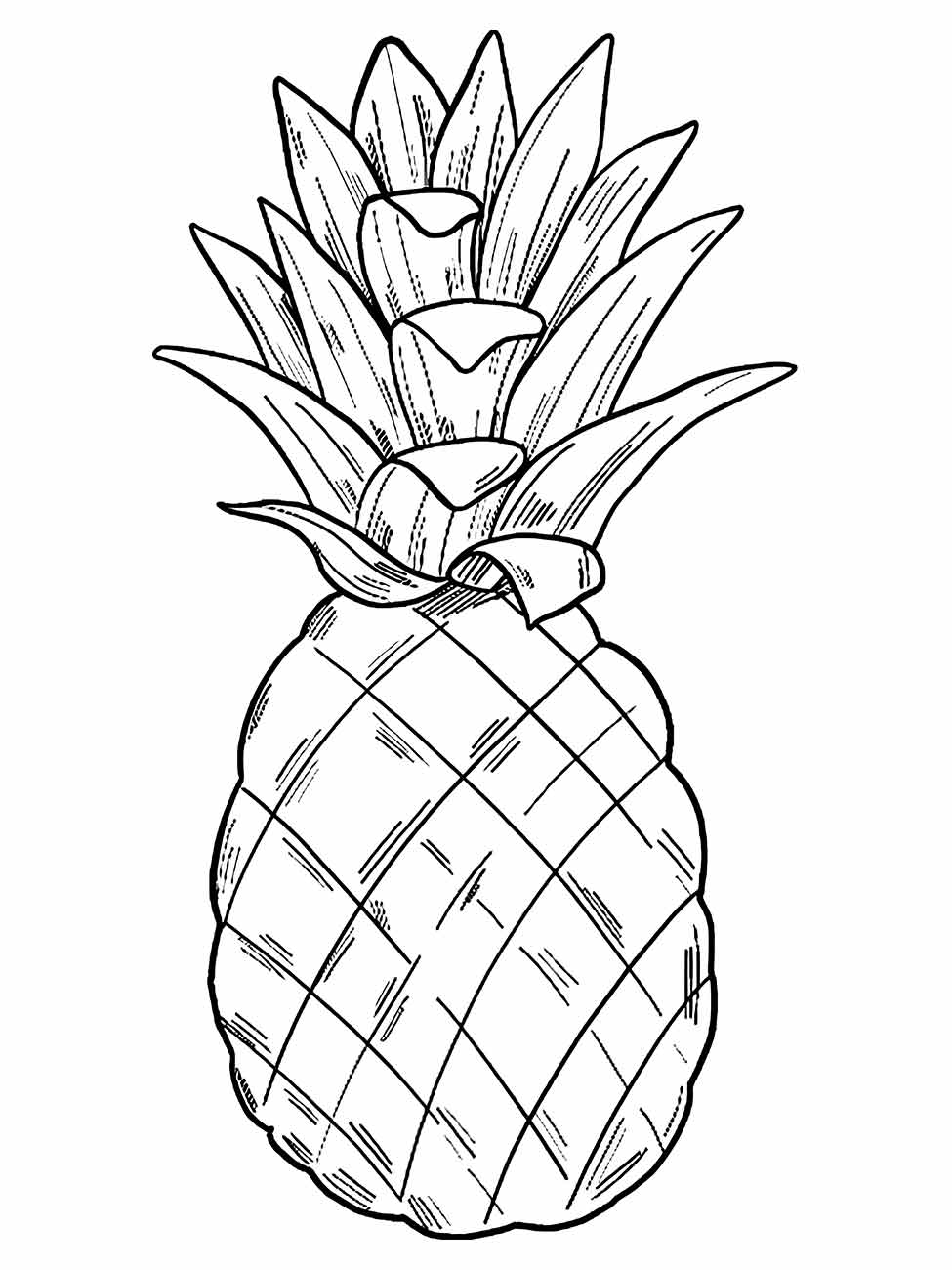 Pineapple coloring page (8)