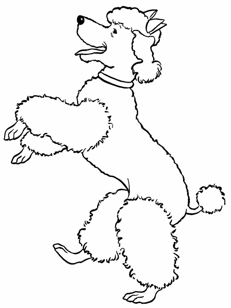 Puppies coloring page (16)