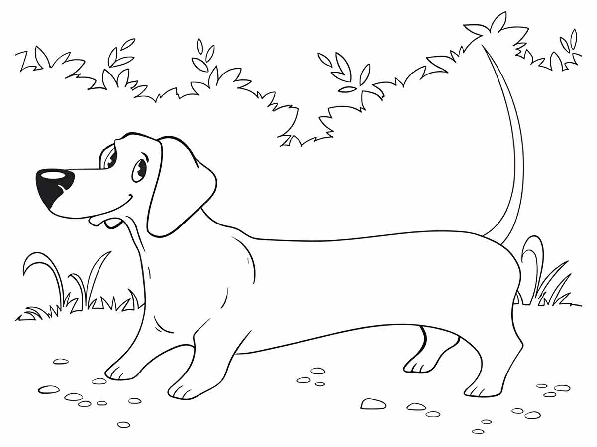 Puppies coloring page (20)