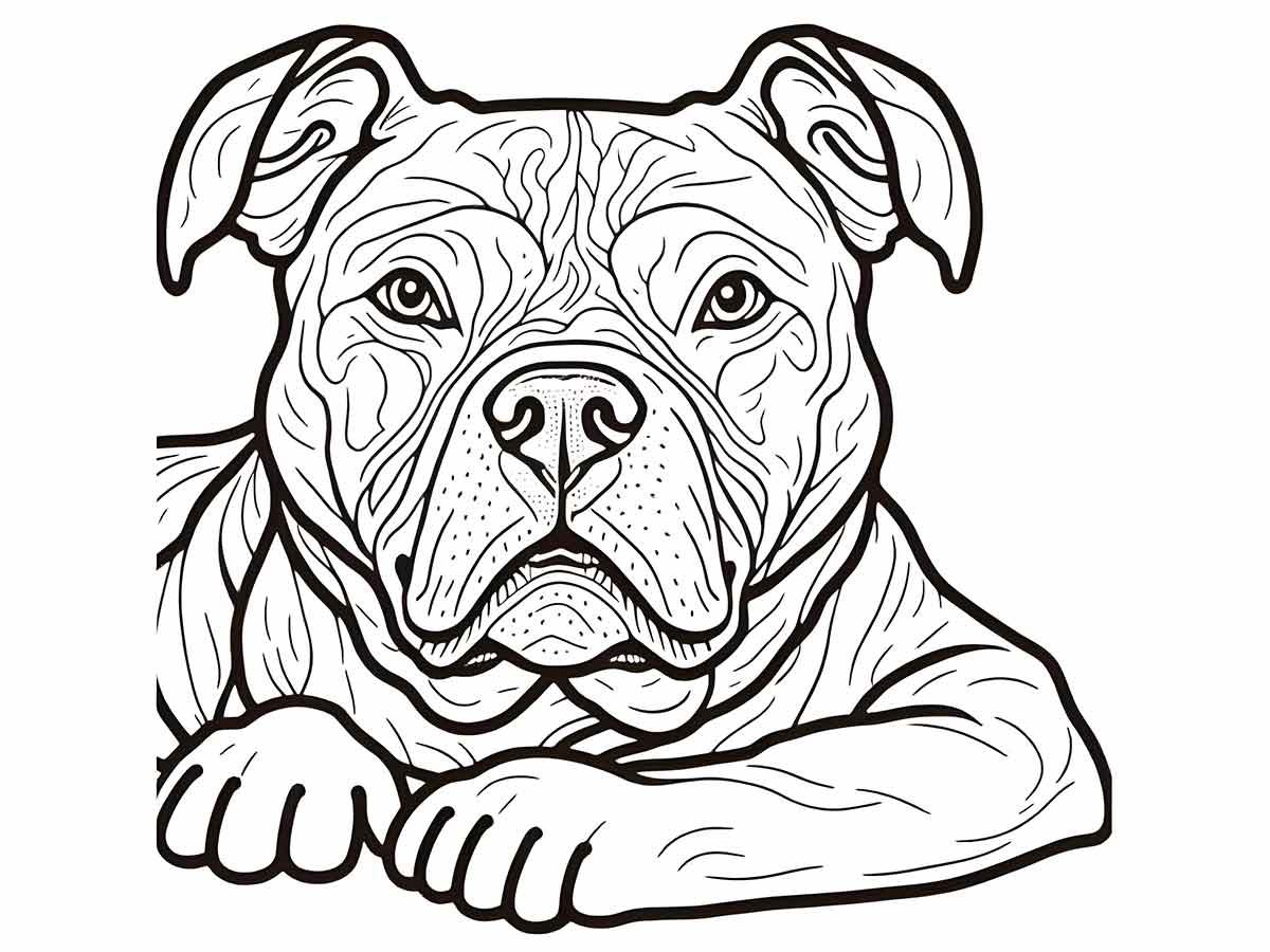 Puppies coloring page (82)