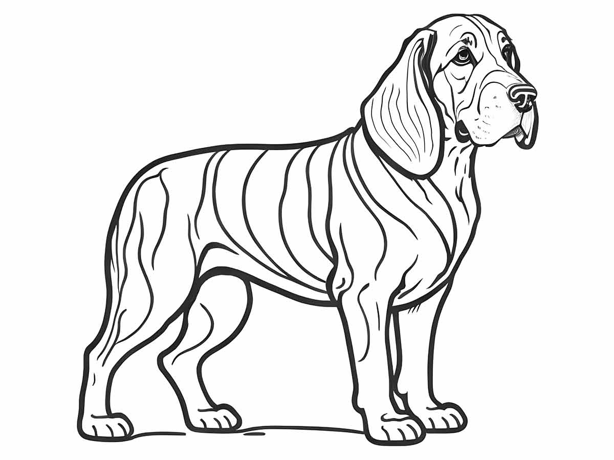 Puppies coloring page (88)