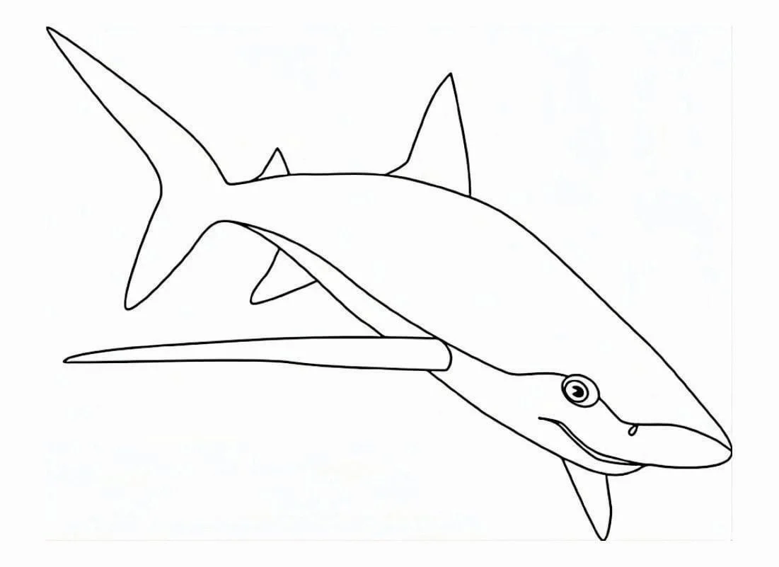 Shark coloring page (1)