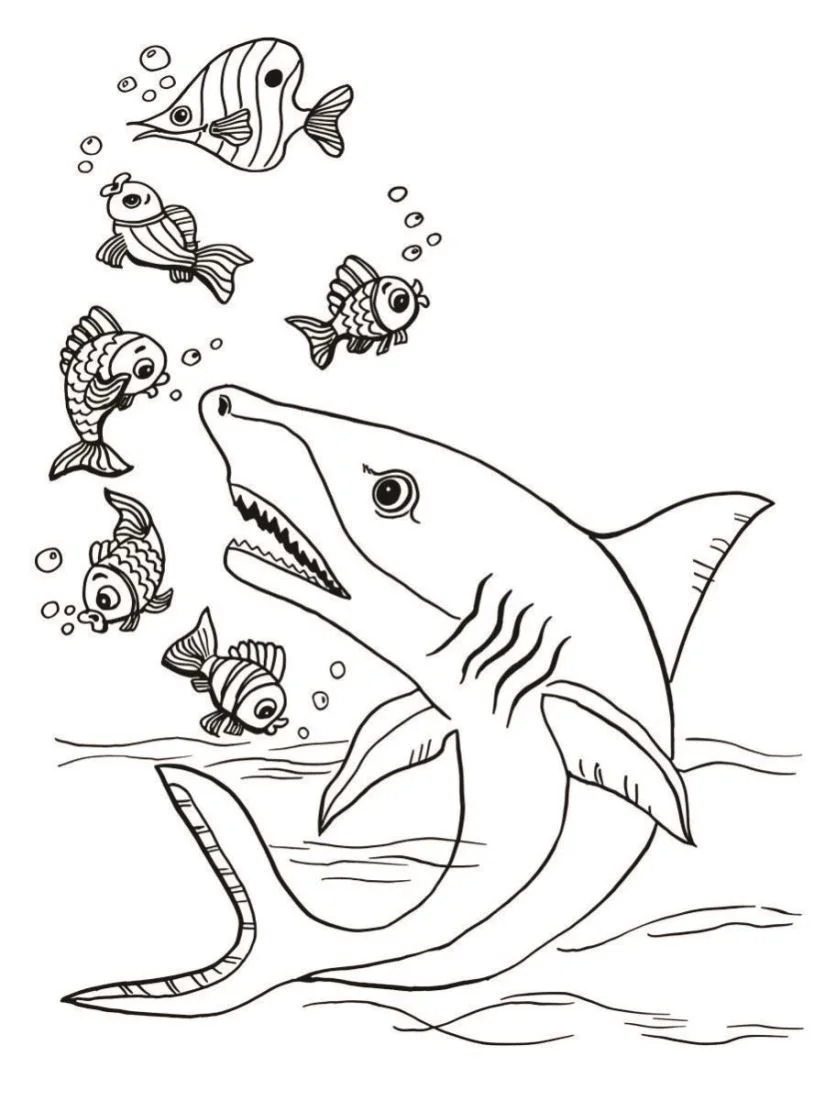 Shark coloring page (10)