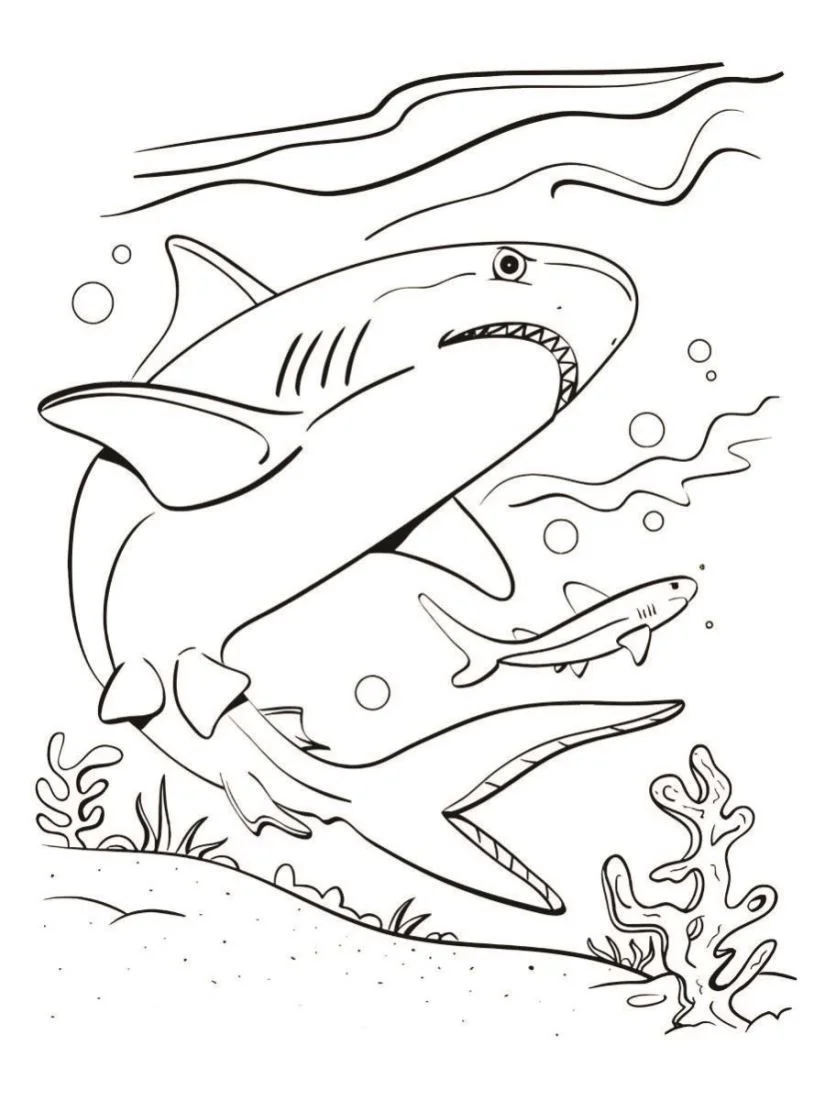 Shark coloring page (11)