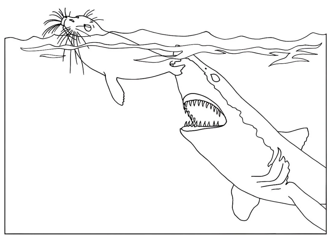 Shark coloring page (14)