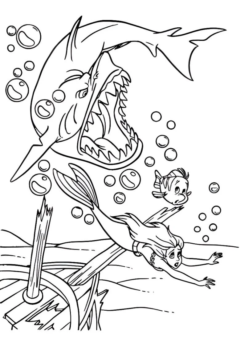 Shark coloring page (16)