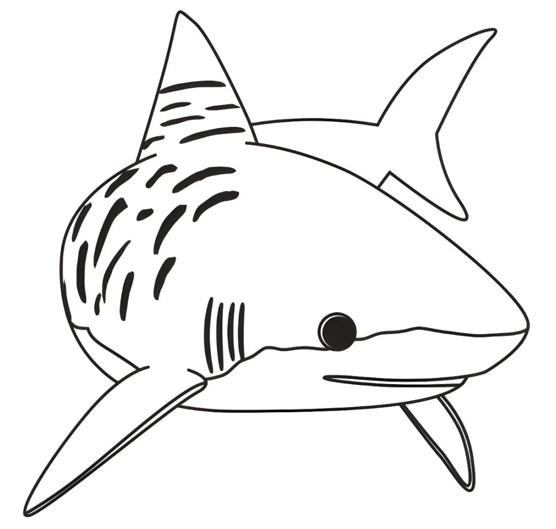 Shark coloring page (20)