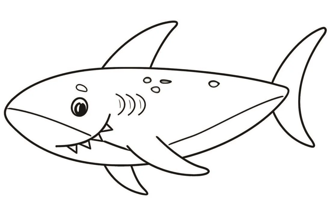 Shark coloring page (21)