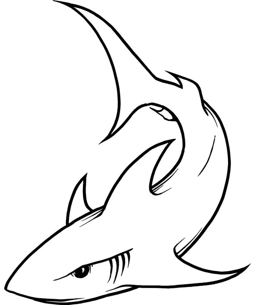 Shark coloring page (24)