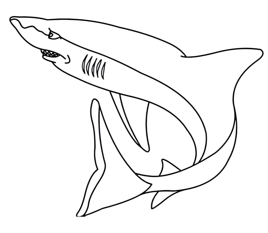 Shark coloring page (25)