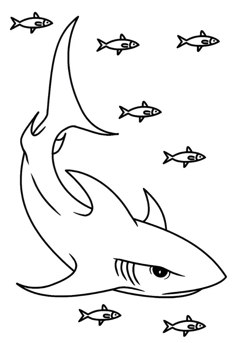 Shark coloring page (26)