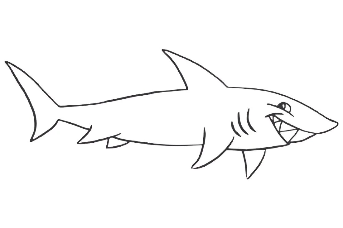 Shark coloring page (29)