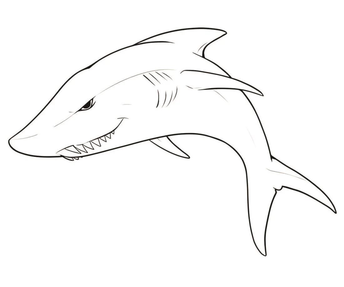 Shark coloring page (30)