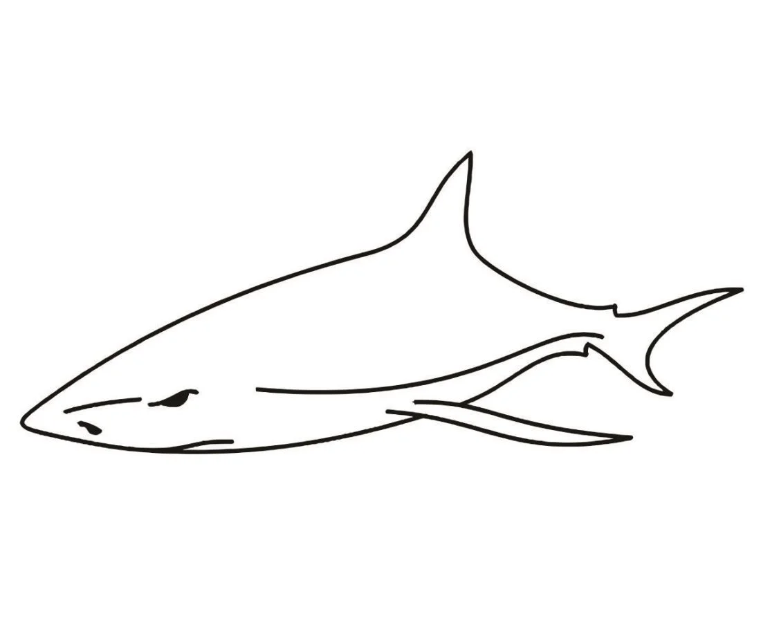 Shark coloring page (31)