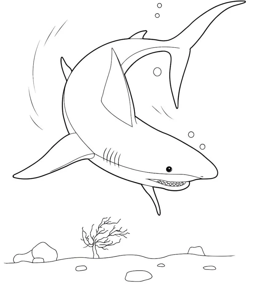 Shark coloring page (39)